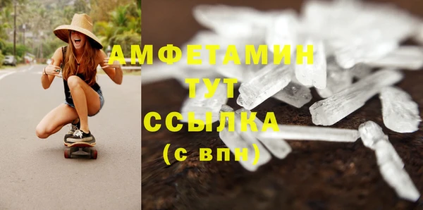 прущие грибы Балабаново
