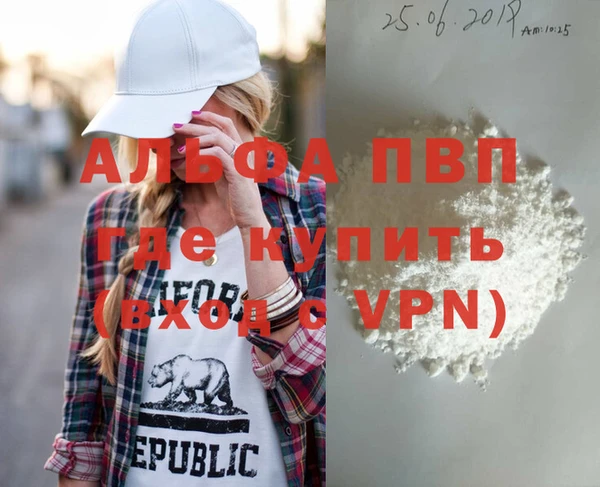 прущие грибы Балабаново