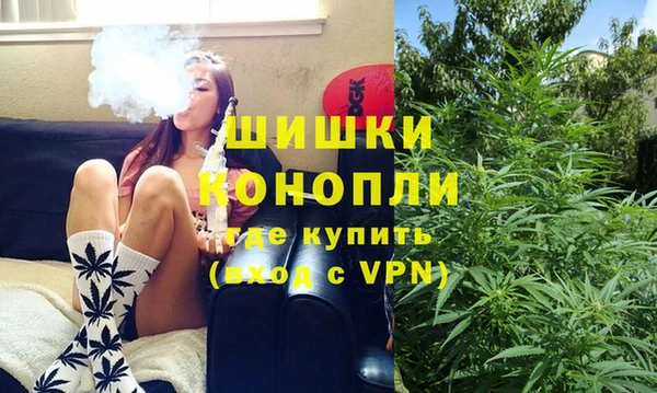 прущие грибы Балабаново