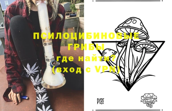 прущие грибы Балабаново
