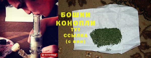 ПСИЛОЦИБИНОВЫЕ ГРИБЫ Бежецк